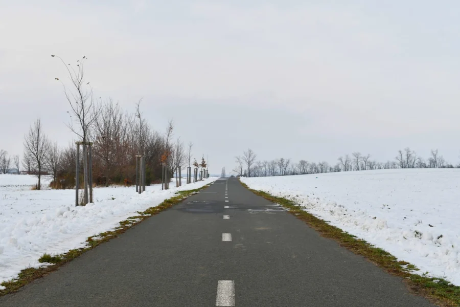 What To Do When Driving In Snowy Conditions?